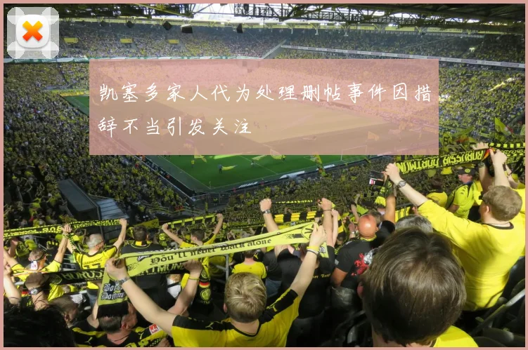 凯塞多家人代为处理删帖事件因措辞不当引发关注