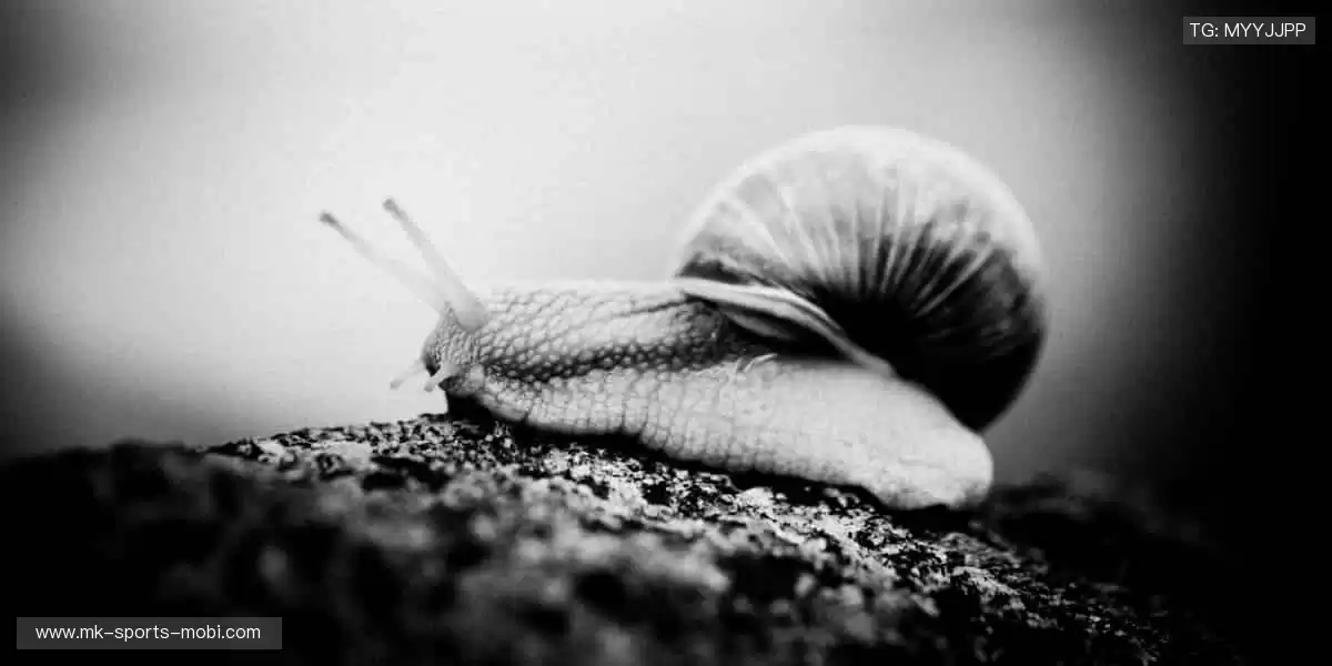 📱实时弹幕，全球球迷在线狂欢！💬